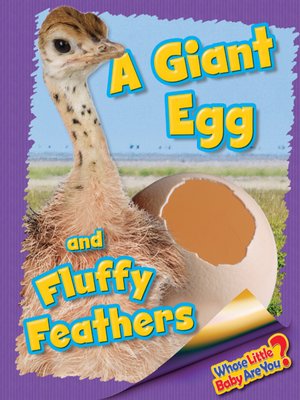 cover image of A Giant Egg and Fluffy Feathers (Ostrich)